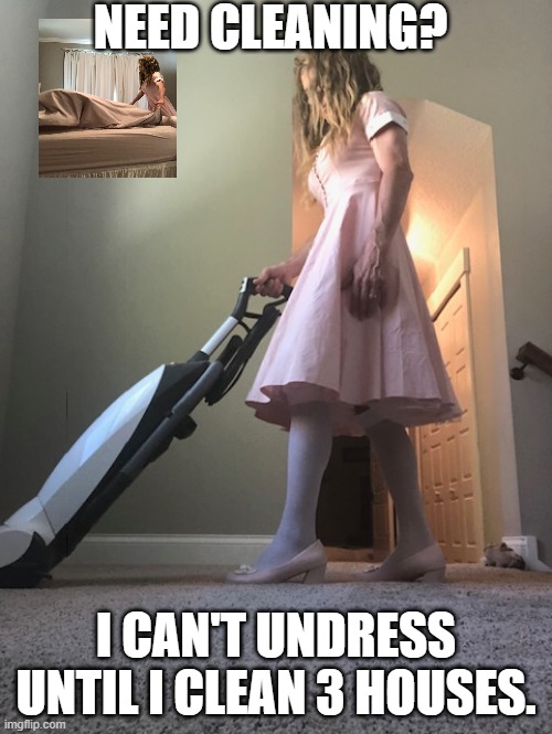house cleaning | NEED CLEANING? I CAN'T UNDRESS UNTIL I CLEAN 3 HOUSES. | image tagged in crossdressing | made w/ Imgflip meme maker