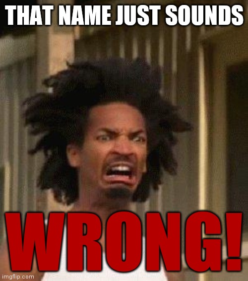 Disgusted Face | THAT NAME JUST SOUNDS WRONG! | image tagged in disgusted face | made w/ Imgflip meme maker