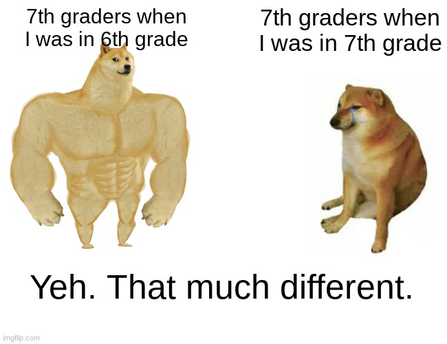 Buff Doge vs. Cheems | 7th graders when I was in 6th grade; 7th graders when I was in 7th grade; Yeh. That much different. | image tagged in memes,buff doge vs cheems | made w/ Imgflip meme maker