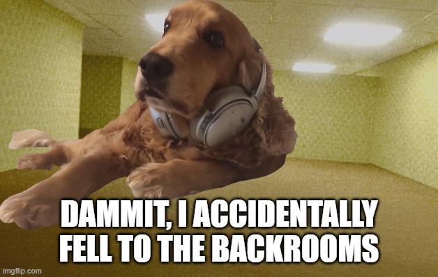 whoa its my dog | DAMMIT, I ACCIDENTALLY FELL TO THE BACKROOMS | image tagged in my dog chilling in the backrooms,fun,memes | made w/ Imgflip meme maker
