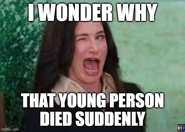 i wonder | I WONDER WHY; THAT YOUNG PERSON
DIED SUDDENLY | image tagged in agatha harkness wink | made w/ Imgflip meme maker