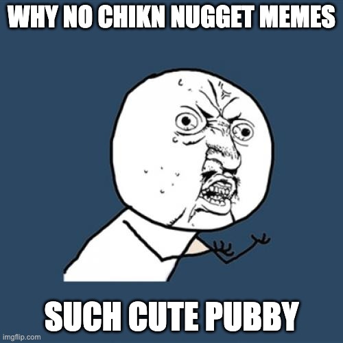 WHYYY!! | WHY NO CHIKN NUGGET MEMES; SUCH CUTE PUBBY | image tagged in memes,y u no,chikn nugget,complaining | made w/ Imgflip meme maker