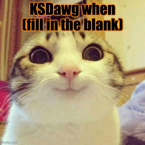 Smiling Cat | KSDawg when (fill in the blank) | image tagged in memes,smiling cat | made w/ Imgflip meme maker
