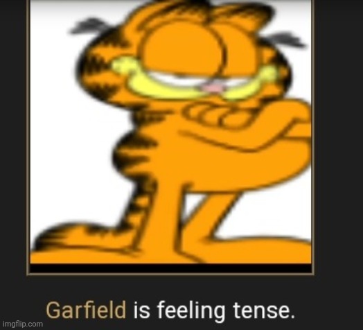 Garfield Is Feeling Tense | image tagged in garfield is feeling tense | made w/ Imgflip meme maker