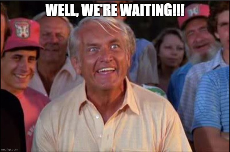 Well we're waiting | WELL, WE'RE WAITING!!! | image tagged in well we're waiting | made w/ Imgflip meme maker