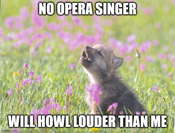 howling | NO OPERA SINGER; WILL HOWL LOUDER THAN ME | image tagged in memes,baby insanity wolf | made w/ Imgflip meme maker