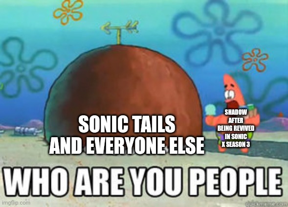 Who are you people | SONIC TAILS AND EVERYONE ELSE; SHADOW AFTER BEING REVIVED IN SONIC X SEASON 3 | image tagged in who are you people | made w/ Imgflip meme maker
