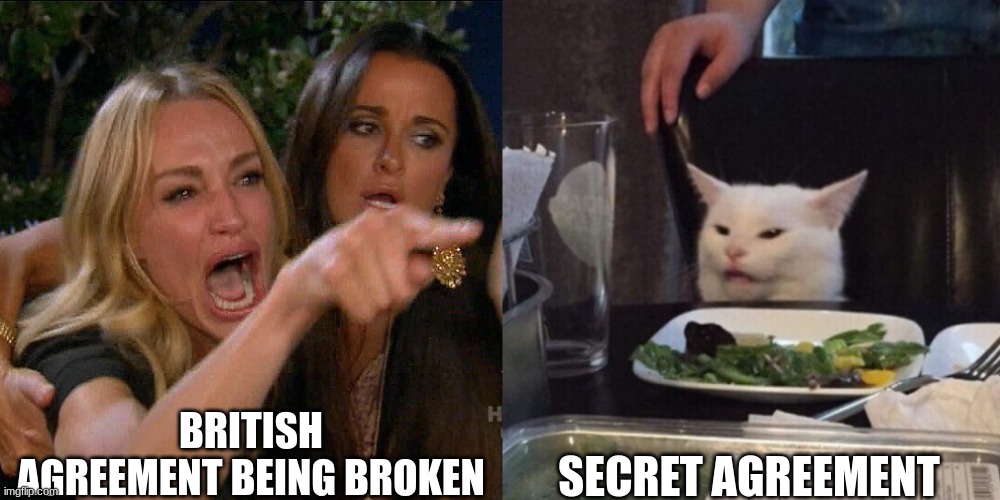 Woman yelling at cat | BRITISH AGREEMENT BEING BROKEN; SECRET AGREEMENT | image tagged in woman yelling at cat | made w/ Imgflip meme maker