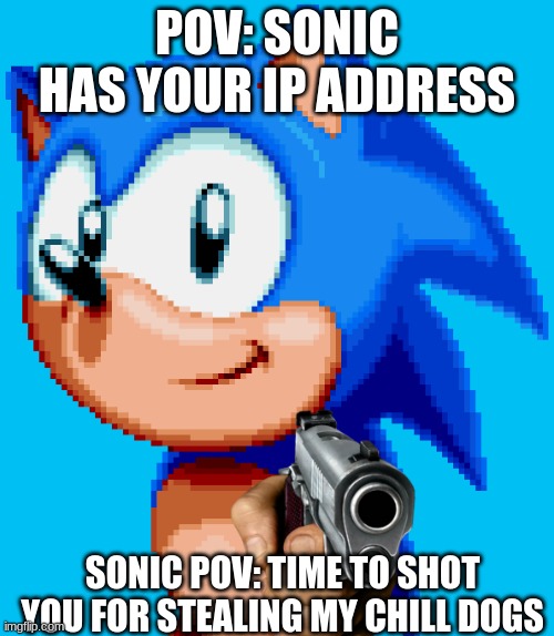 POV: You stole Sonic chill dog | POV: SONIC HAS YOUR IP ADDRESS; SONIC POV: TIME TO SHOT YOU FOR STEALING MY CHILL DOGS | image tagged in sonic with a gun | made w/ Imgflip meme maker