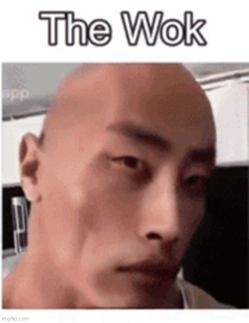 Wok | image tagged in the rock | made w/ Imgflip meme maker