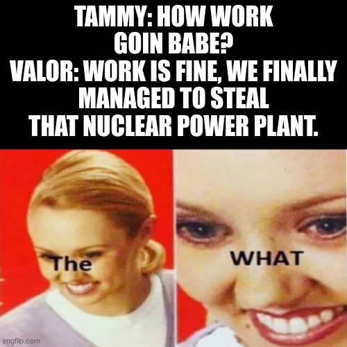 Valor in season one. EVERYTIME. | TAMMY: HOW WORK GOIN BABE?
VALOR: WORK IS FINE, WE FINALLY MANAGED TO STEAL THAT NUCLEAR POWER PLANT. | image tagged in the what | made w/ Imgflip meme maker