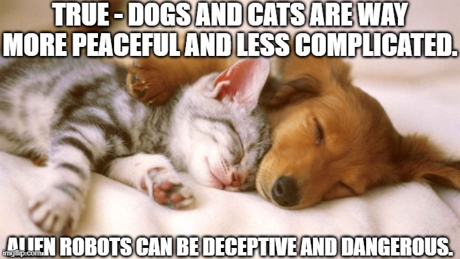 Dog And Cat Napping 2gether 3 | TRUE - DOGS AND CATS ARE WAY MORE PEACEFUL AND LESS COMPLICATED. ALIEN ROBOTS CAN BE DECEPTIVE AND DANGEROUS. | image tagged in cats and dogs sleeping together,canines and felines,dogs and cats,house pets,animals,creatures | made w/ Imgflip meme maker