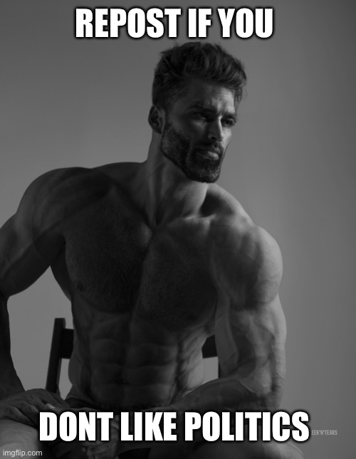 Giga Chad | REPOST IF YOU; DONT LIKE POLITICS | image tagged in giga chad | made w/ Imgflip meme maker