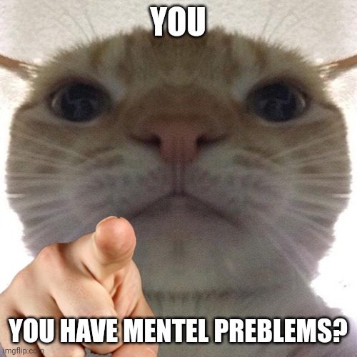 Cat point at you | YOU; YOU HAVE MENTEL PREBLEMS? | image tagged in cat point at you | made w/ Imgflip meme maker