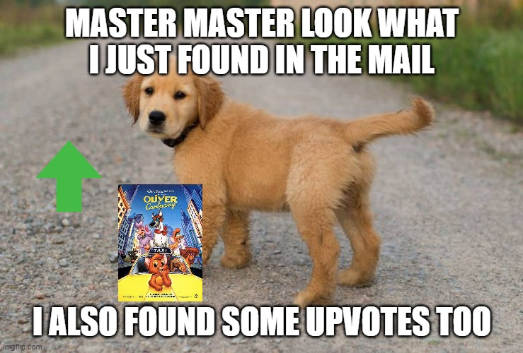 master master look what i just found | MASTER MASTER LOOK WHAT I JUST FOUND IN THE MAIL; I ALSO FOUND SOME UPVOTES TOO | image tagged in cute dog,disney,cuteness overload,upvotes | made w/ Imgflip meme maker