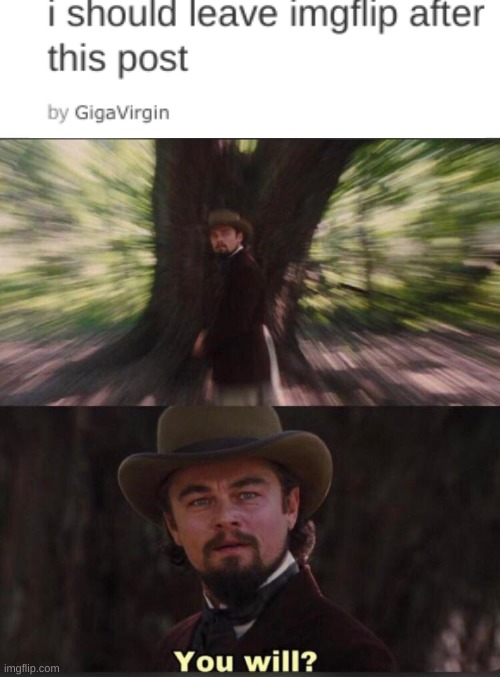 You will? Leonardo, django | made w/ Imgflip meme maker