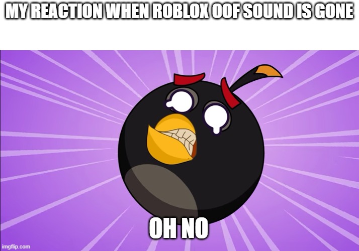 Bomb is scared | MY REACTION WHEN ROBLOX OOF SOUND IS GONE; OH NO | image tagged in scared bomb | made w/ Imgflip meme maker