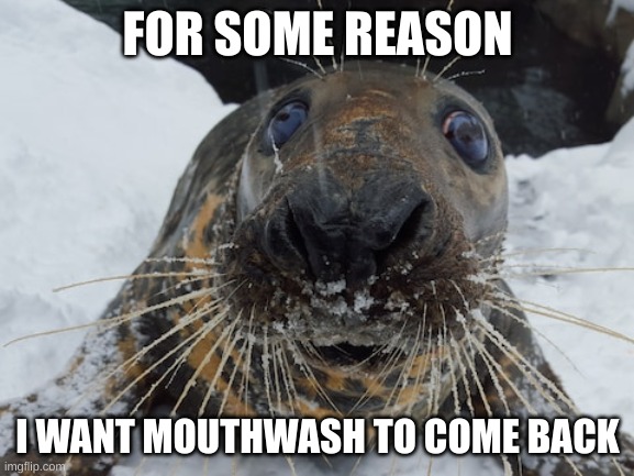 idfk man | FOR SOME REASON; I WANT MOUTHWASH TO COME BACK | image tagged in his name's bim bim | made w/ Imgflip meme maker