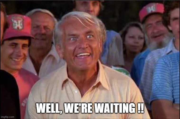 Well we're waiting | WELL, WE'RE WAITING !! | image tagged in well we're waiting | made w/ Imgflip meme maker