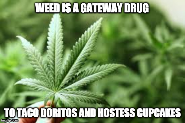 Marijuana is a gateway drug | WEED IS A GATEWAY DRUG; TO TACO DORITOS AND HOSTESS CUPCAKES | image tagged in marijuana,doritos,cupcakes,cannabis,pot | made w/ Imgflip meme maker