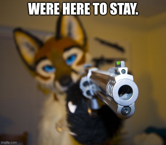 Furry with gun | WERE HERE TO STAY. | image tagged in furry with gun | made w/ Imgflip meme maker