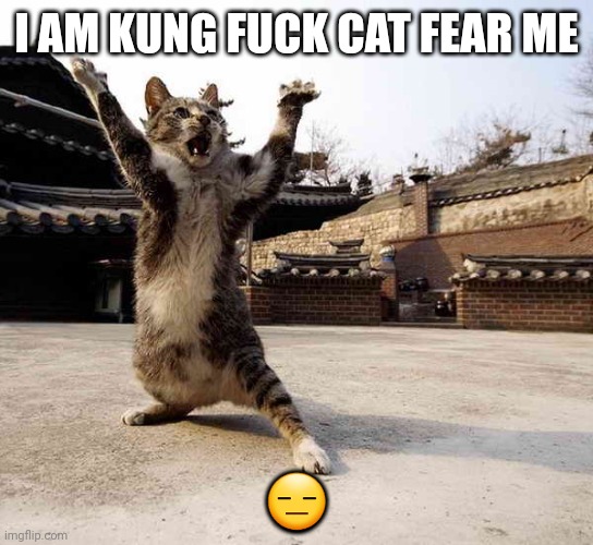 Ninja cat in stance | I AM KUNG FUCK CAT FEAR ME ? | image tagged in ninja cat in stance | made w/ Imgflip meme maker
