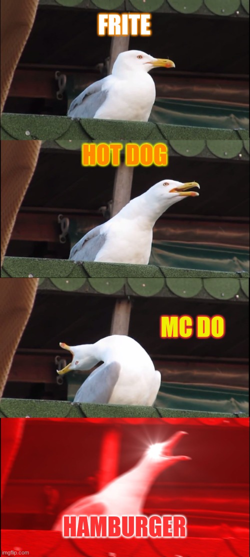 food bird | FRITE; HOT DOG; MC DO; HAMBURGER | image tagged in memes,inhaling seagull | made w/ Imgflip meme maker