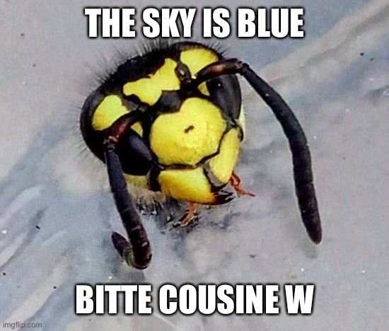 THE SKY IS BLUE BITTE COUSINE W | made w/ Imgflip meme maker