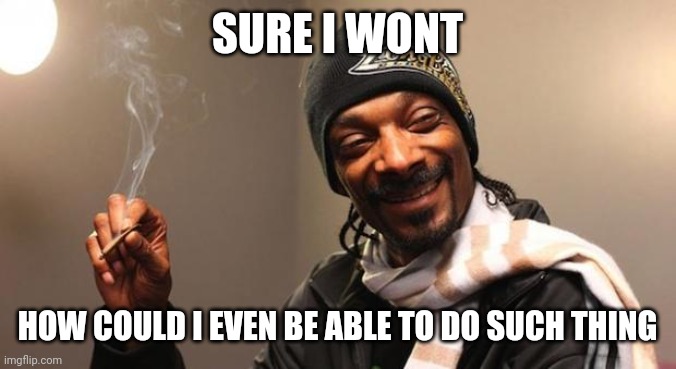 Snoop Dogg | SURE I WONT HOW COULD I EVEN BE ABLE TO DO SUCH THING | image tagged in snoop dogg | made w/ Imgflip meme maker