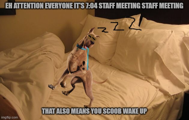 sleepy scooby | EH ATTENTION EVERYONE IT'S 7:04 STAFF MEETING STAFF MEETING; THAT ALSO MEANS YOU SCOOB WAKE UP | image tagged in bed,dogs,warner bros,scooby doo,sleeping | made w/ Imgflip meme maker