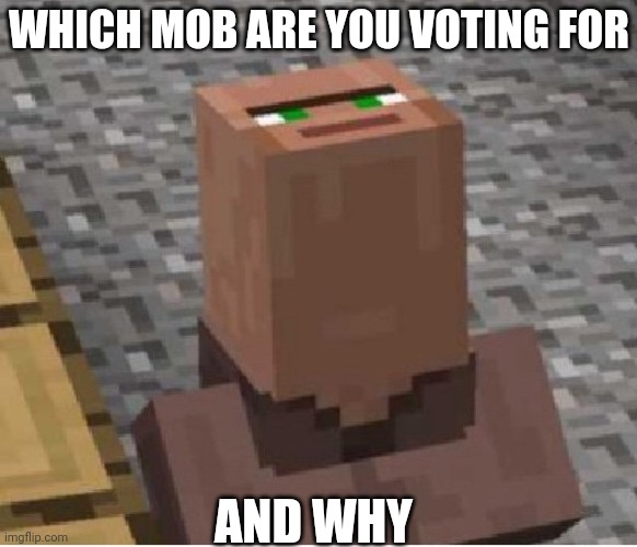 Minecraft Villager Looking Up | WHICH MOB ARE YOU VOTING FOR; AND WHY | image tagged in minecraft villager looking up | made w/ Imgflip meme maker