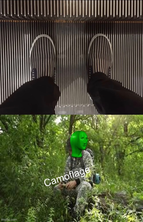 Right place, right time! | image tagged in camoflage,memes,unfunny | made w/ Imgflip meme maker