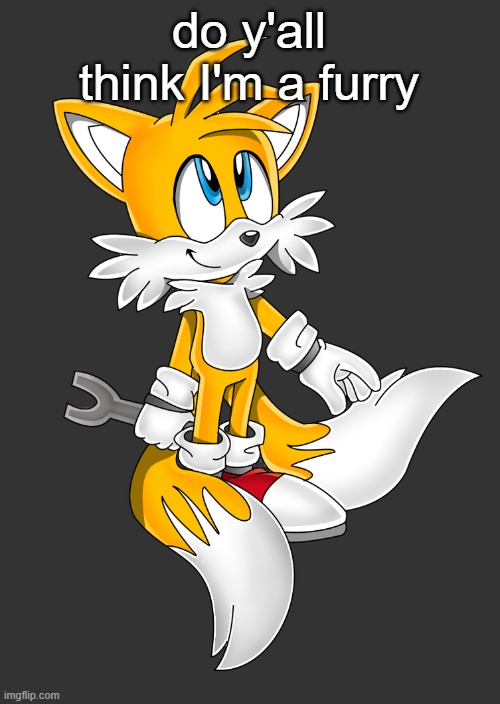 do y'all think I'm a furry | image tagged in tails holding a wrench | made w/ Imgflip meme maker