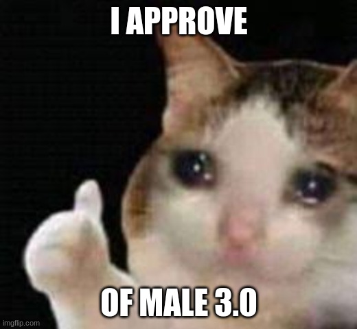 Approved crying cat | I APPROVE OF MALE 3.0 | image tagged in approved crying cat | made w/ Imgflip meme maker