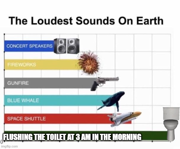 I ain't wrong tho | FLUSHING THE TOILET AT 3 AM IN THE MORNING | image tagged in the loudest sounds on earth,relatable,3 am,toilet,toilets,flush | made w/ Imgflip meme maker