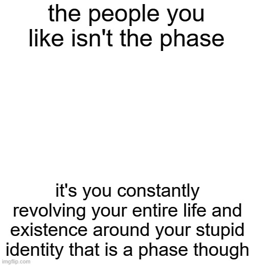 should i extend this into a full-blown rant? | the people you like isn't the phase; it's you constantly revolving your entire life and existence around your stupid identity that is a phase though | made w/ Imgflip meme maker