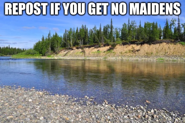 no women, even. no dishwashers, if you will | REPOST IF YOU GET NO MAIDENS | made w/ Imgflip meme maker