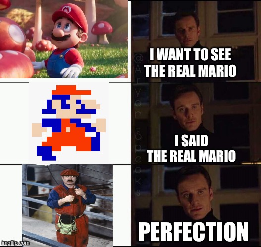 The real Mario | I WANT TO SEE THE REAL MARIO; I SAID THE REAL MARIO; PERFECTION | image tagged in show me the real | made w/ Imgflip meme maker