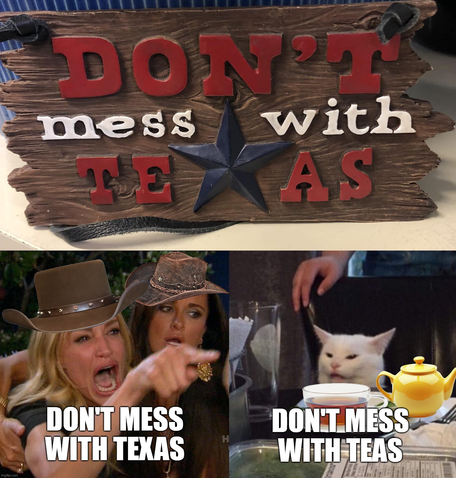 DON'T MESS WITH TEXAS; DON'T MESS WITH TEAS | image tagged in woman yelling at cat,meme,memes,funny,signs,humor | made w/ Imgflip meme maker