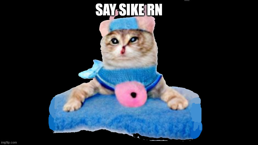 kitty on drugs | SAY SIKE RN | image tagged in kitty on drugs | made w/ Imgflip meme maker