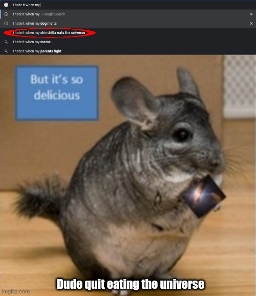 Why is my chinchilla eating the universe!? | Dude quit eating the universe | image tagged in chinchilla,eating universe | made w/ Imgflip meme maker