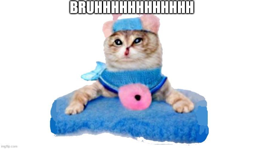 kitty on drugs | BRUHHHHHHHHHHHH | image tagged in kitty on drugs | made w/ Imgflip meme maker