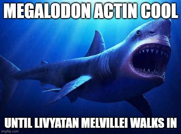 Paleontology | MEGALODON ACTIN COOL; UNTIL LIVYATAN MELVILLEI WALKS IN | image tagged in dino,meme,extinct | made w/ Imgflip meme maker