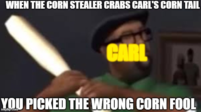 YOU PICKED THE WRONG CORN FOOL -carl corn | WHEN THE CORN STEALER CRABS CARL'S CORN TAIL; CARL; YOU PICKED THE WRONG CORN FOOL | image tagged in you picked the wrong house fool | made w/ Imgflip meme maker