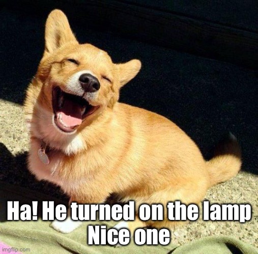 Ha! He turned on the lamp
Nice one | made w/ Imgflip meme maker