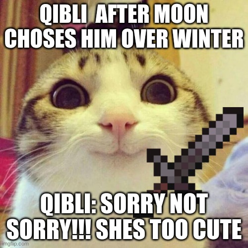 Smiling Cat | QIBLI  AFTER MOON CHOSES HIM OVER WINTER; QIBLI: SORRY NOT SORRY!!! SHES TOO CUTE | image tagged in memes,smiling cat | made w/ Imgflip meme maker