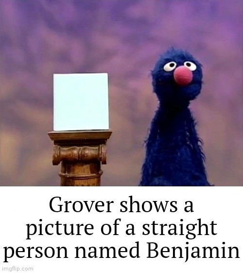 ¯\_(ツ)_/¯ | Grover shows a picture of a straight person named Benjamin | image tagged in grover who asked,benjamin,names | made w/ Imgflip meme maker