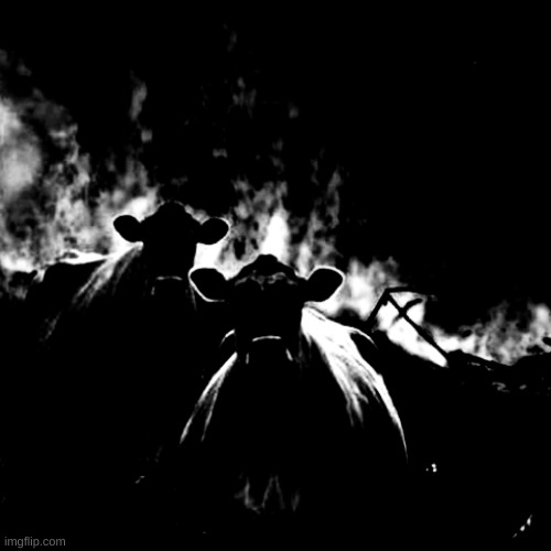 image tagged in egami dekael wocahsurc | made w/ Imgflip meme maker