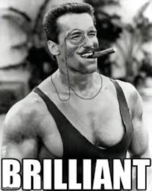 brilliant | image tagged in brilliant | made w/ Imgflip meme maker