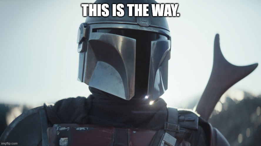 The Mandalorian. | THIS IS THE WAY. | image tagged in the mandalorian | made w/ Imgflip meme maker